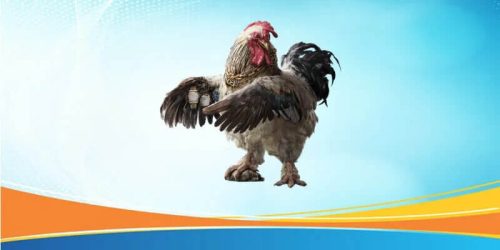 Các Hình Thức Chơi Đá Gà Trực Tiếp Thomo 67 Tại AA88