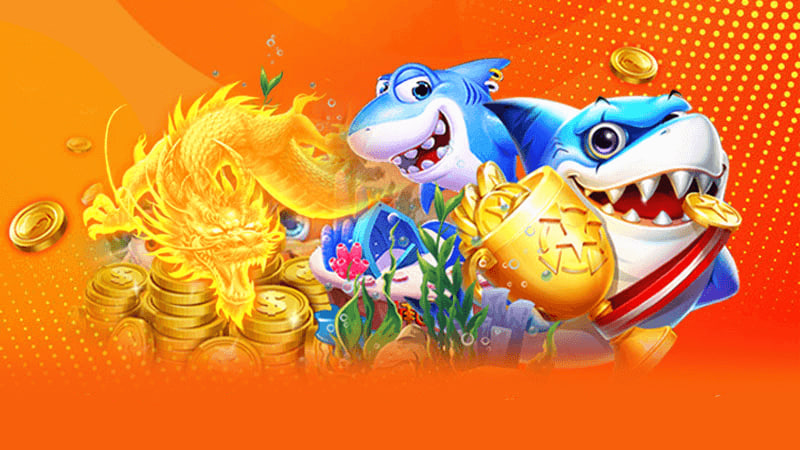 Câu hỏi thường gặp(FAQs)
